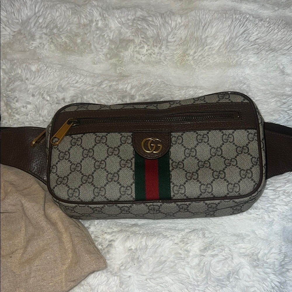 Gucci Brown and Green Belt Bag